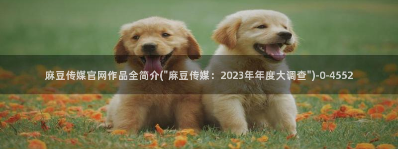 mdpud麻豆传媒官网pub：麻豆传媒官网作品全简介(\