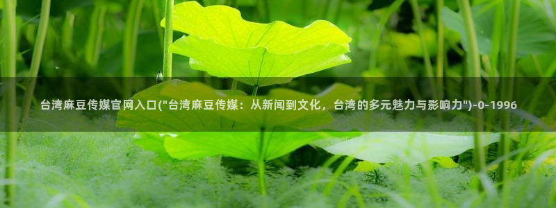 麻豆传媒直播官网黄：台湾麻豆传媒官网入口(\