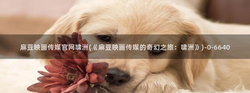 md mup 麻豆传媒官网：麻豆映画传媒官网啸洲(《麻豆映画传媒的奇幻之旅：啸洲》)