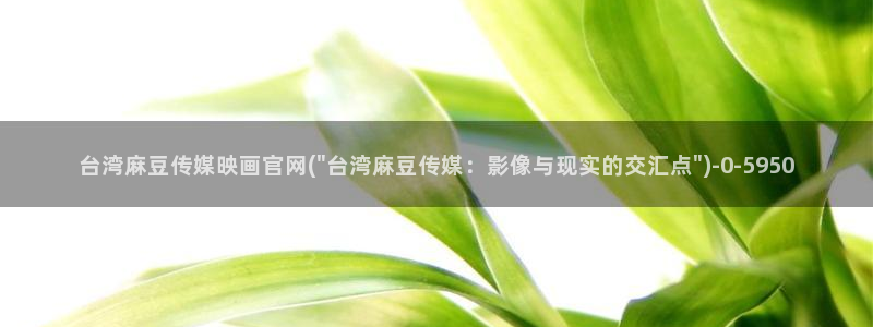 麻豆传媒官网最新：台湾麻豆传媒映画官网(\