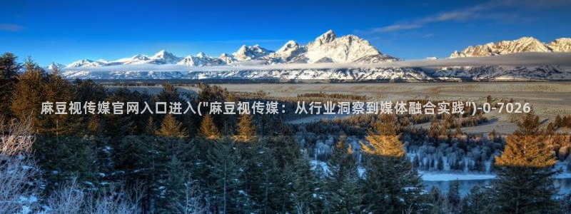 麻豆印象传媒官网：麻豆视传媒官网入口进入(\