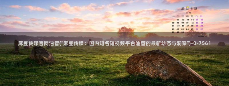 麻豆传媒在线直播官网：麻豆传媒官网油管(\