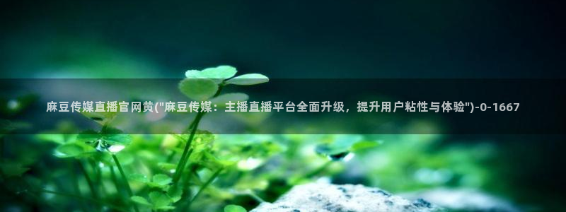 台湾麻豆传媒官网在线：麻豆传媒直播官网黄(\