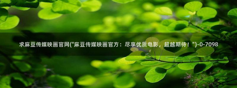 麻豆传媒官网女教师：求麻豆传媒映画官网(\