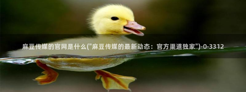 麻豆传媒漫画官网：麻豆传媒的官网是什么(\