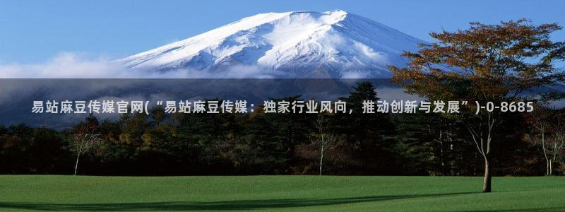 麻豆国产传媒官网：易站麻豆传媒官网(“易站麻豆传媒：独家行业风向，推动创新与发展”)