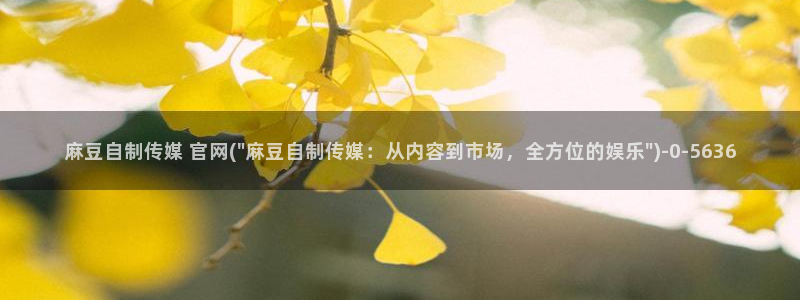 麻豆传媒官网影视：麻豆自制传媒 官网(\