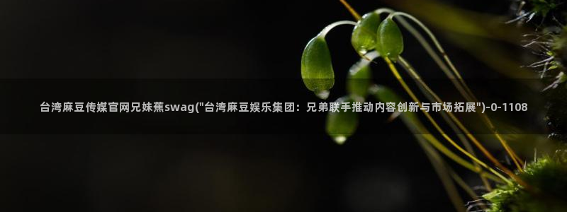 麻豆传媒md官网：台湾麻豆传媒官网兄妹蕉swag(\