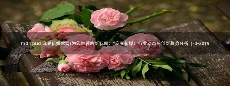 麻豆文化传媒官网ios：md1 pud 麻豆传媒官网(为您推荐的新标题：\